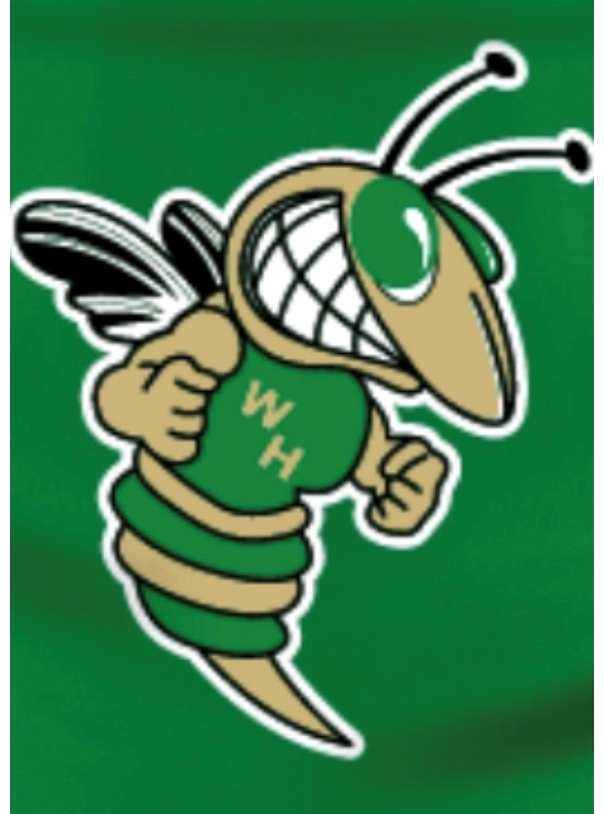 local-level-events-walnut-hill-hornets-middle-school-football-home