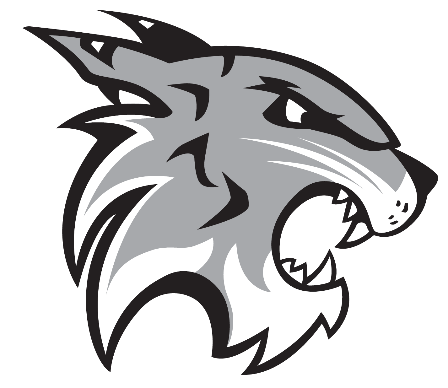 Local Level Events Davidson HS Winter SemiFormal 2024